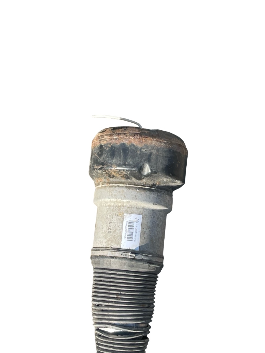 Amortizor/perna de aer suspensie pneumatica spate stanga MERCEDES-BENZ S-CLASS II W221, C215 2005 - 2013 – foto 3