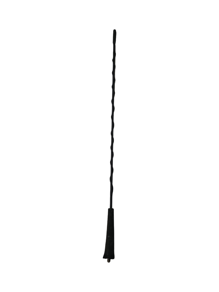 Antena radio RENAULT MEGANE II BM0/1_, CM0/1_ 2001 - 2012 – foto 2