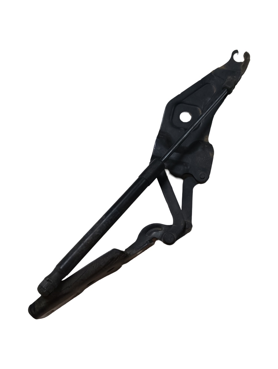 Balamale capota motor stanga fata BMW X6 E71, E72 2007 - 2014 – foto 2