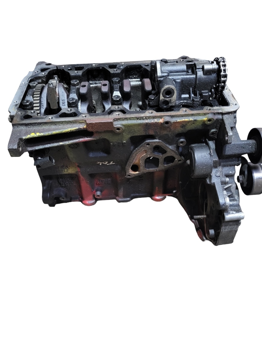 Bloc motor LAND ROVER FREELANDER LN_, L314 1998 - 2006 2.0 Td4 4x4 204D3, M 47 204D3 – foto 2
