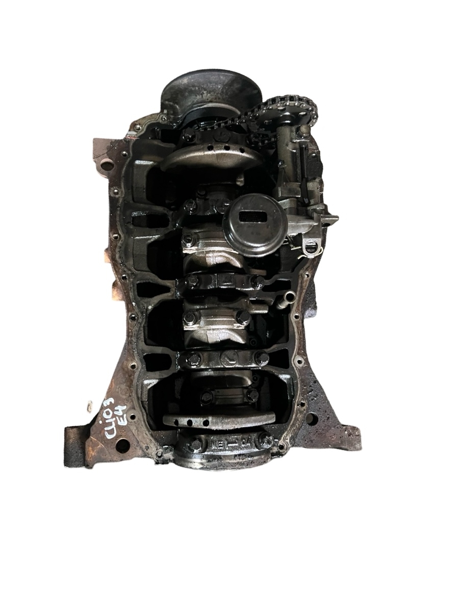 Bloc motor RENAULT CLIO III BR0/1, CR0/1 2005 - > 1.5 dCi K9K 764, K9K 774 – foto 3