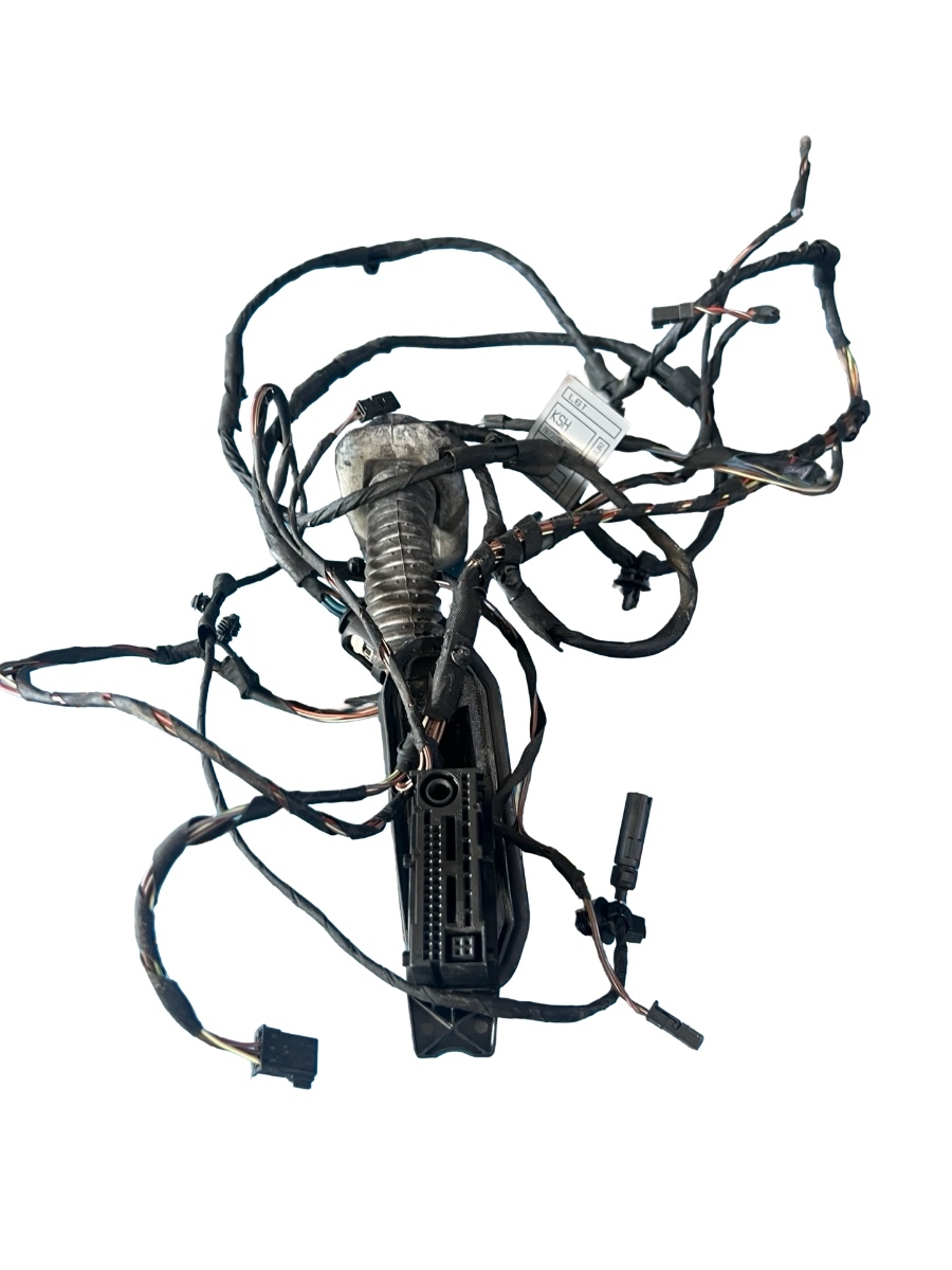 Cablaj portiera spate stanga spate BMW 5 F10 2009 - 2016 9219518 – foto 2