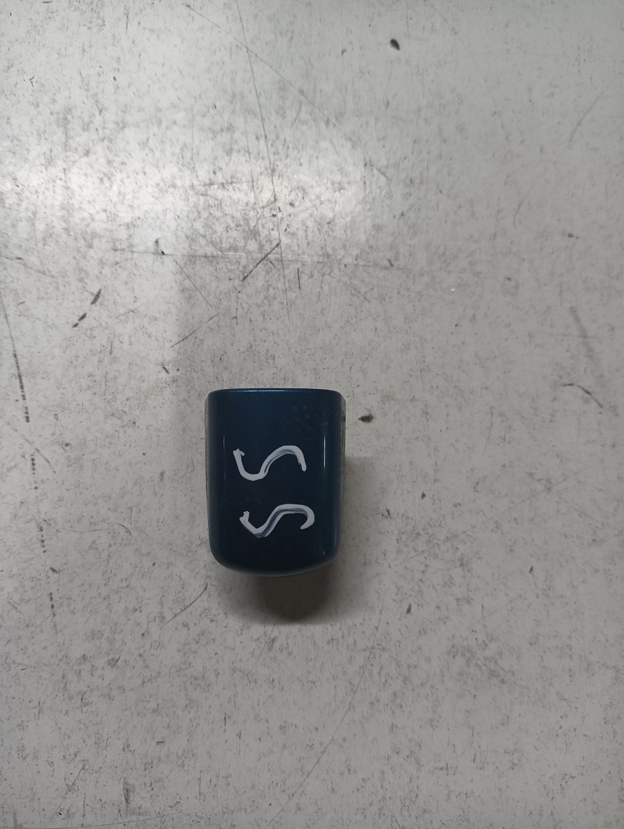 Capac maner portiera spate stanga spate PEUGEOT 207 WA_, WC_ 2006 - >