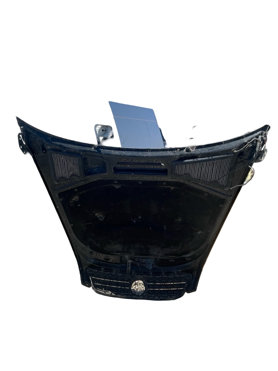Capota motor + grila VOLKSWAGEN PHAETON 3D_ 2002 - 2016 – foto 2