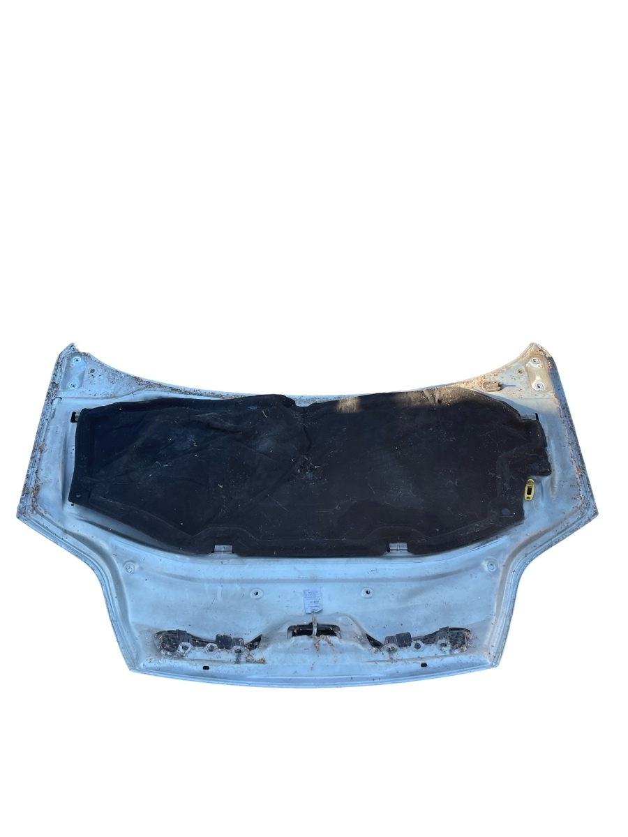 Capota motor RENAULT SCENIC I JA0/1_, FA0_ 1999 - 2003 – foto 3