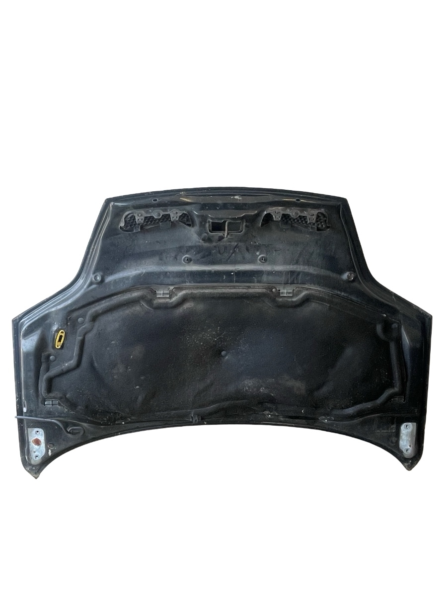 Capota motor RENAULT SCENIC I JA0/1_, FA0_ 1999 - 2003 – foto 2