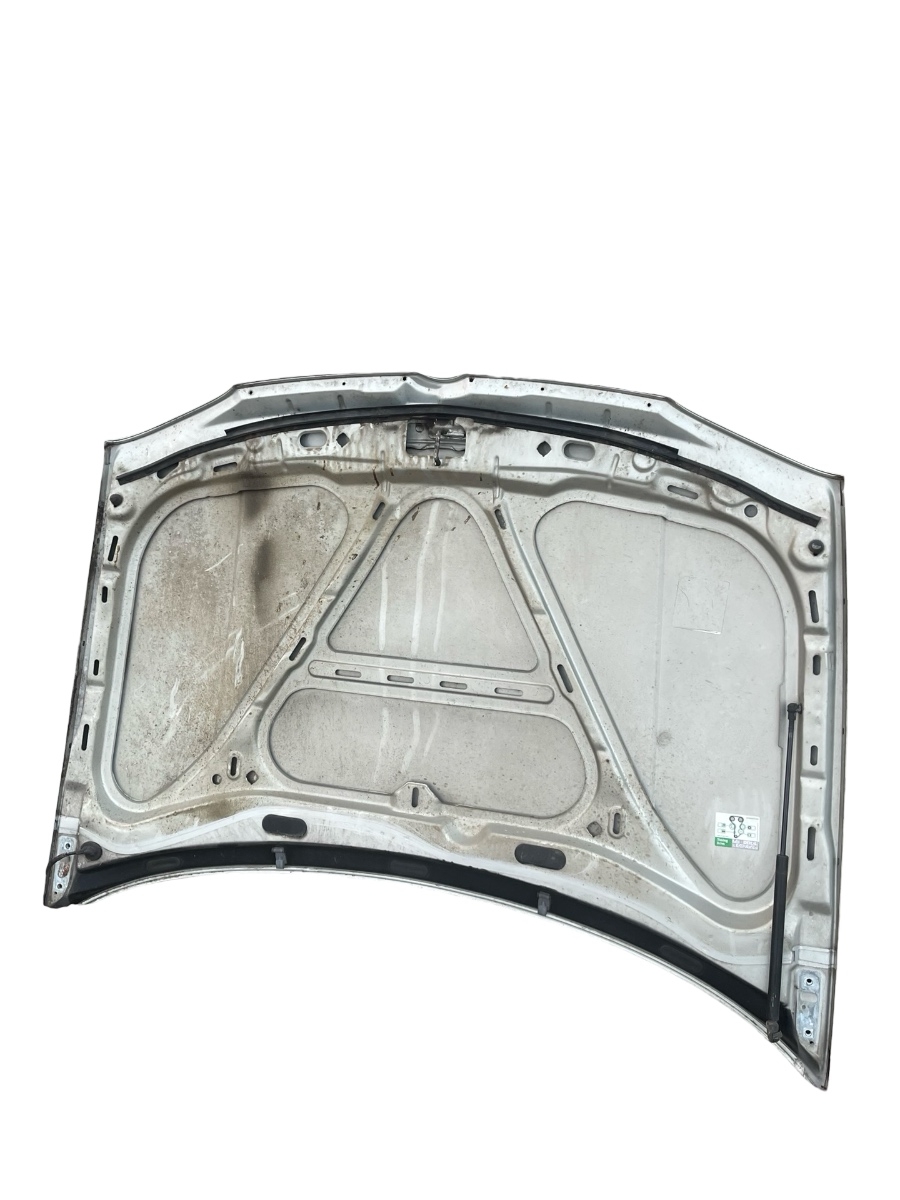 Capota motor VOLKSWAGEN GOLF IV 1J1 1997 - 2007 – foto 2