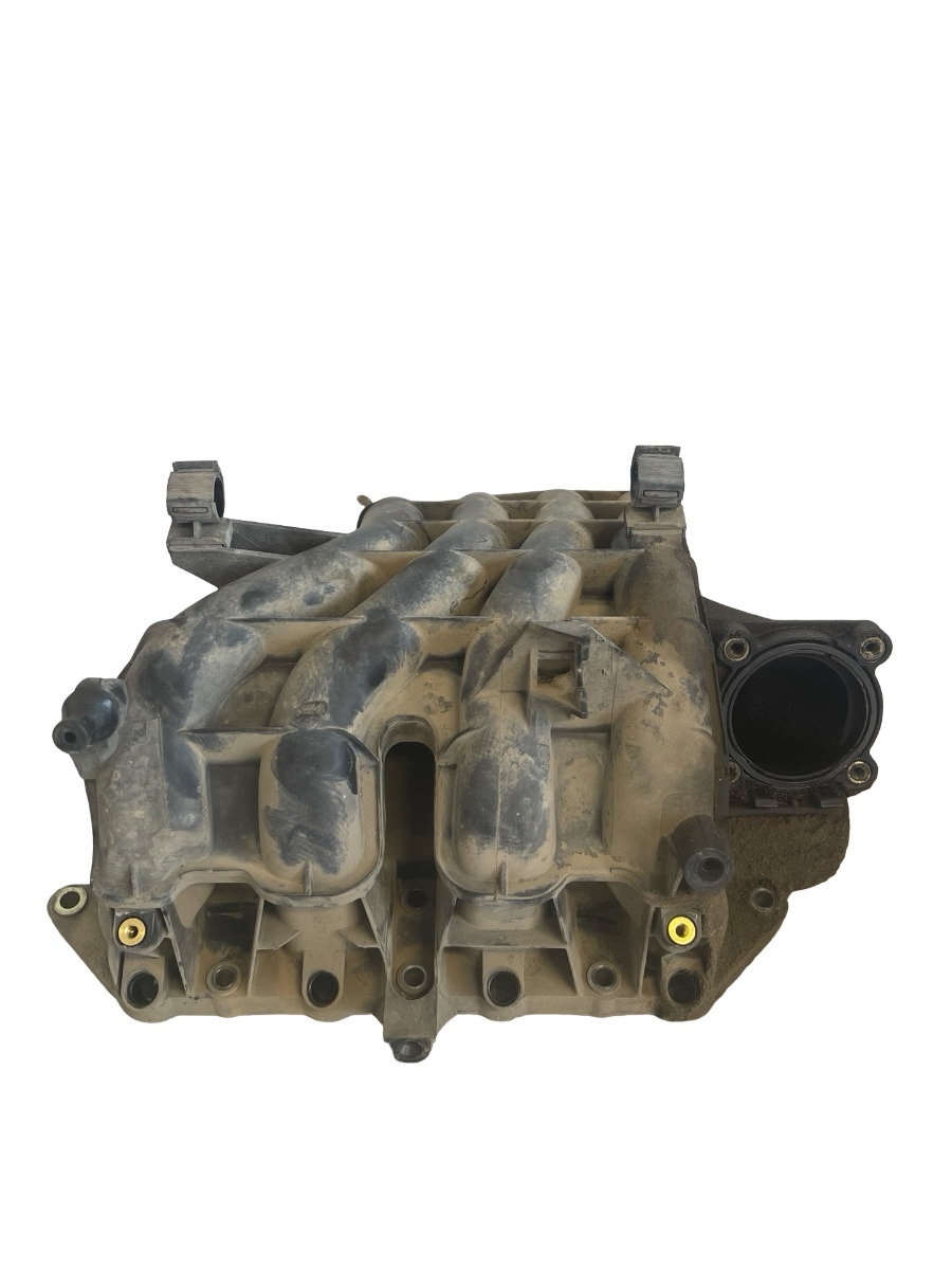 Galerie de admisie VOLKSWAGEN GOLF IV 1J1 1997 - 2007 1.4 16V AKQ 290030287