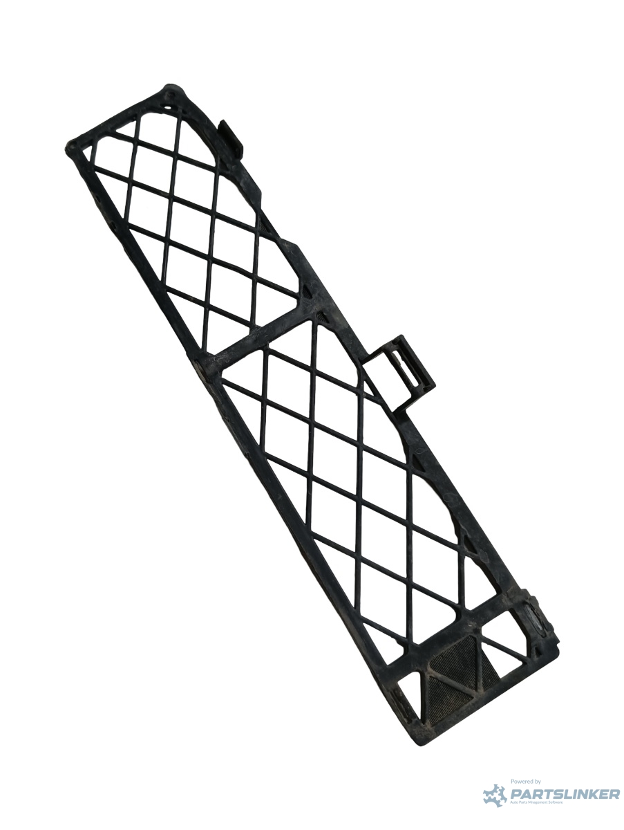 Grila fata dreapta fata TOYOTA RAV 4 II _A2_ 2000 - 2005 – foto 2