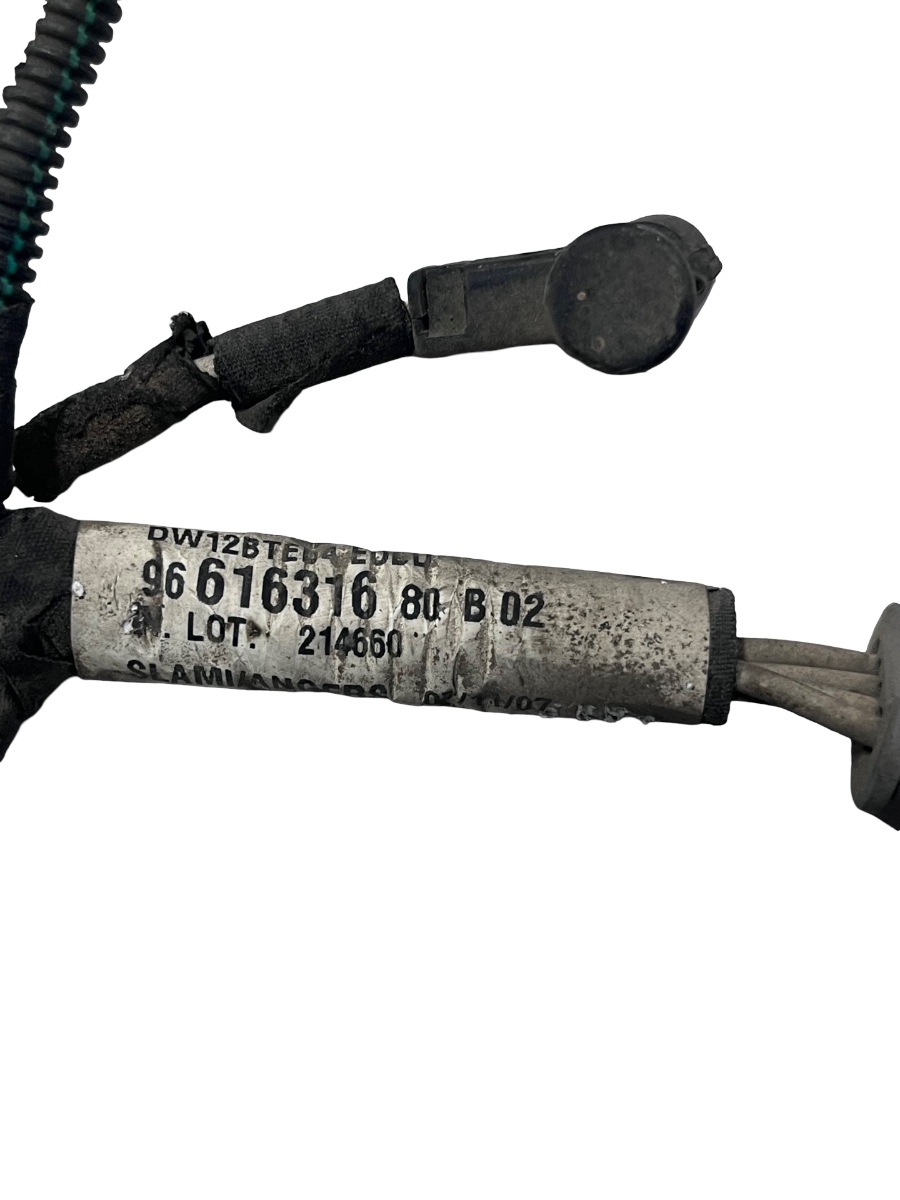 Instalatie bujii incandescente LAND ROVER FREELANDER 2 LF_, L359 2006 - 2014 9661631680B02 – foto 3