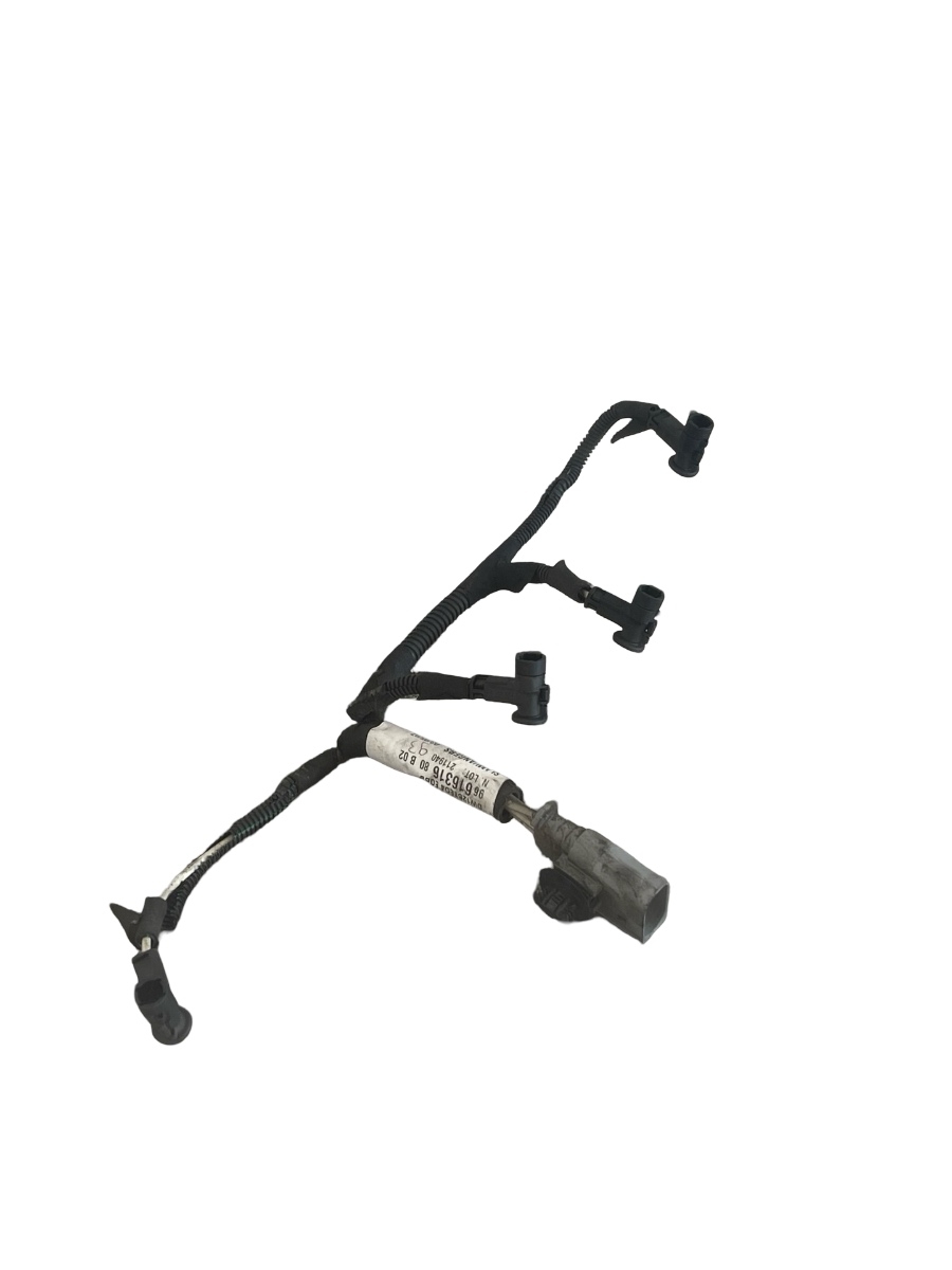 Instalatie electrica bujii LAND ROVER FREELANDER 2 LF_, L359 2006 - 2014 2.2 TD4 4x4 224DT, DW12BTED4 9661631680 – foto 3