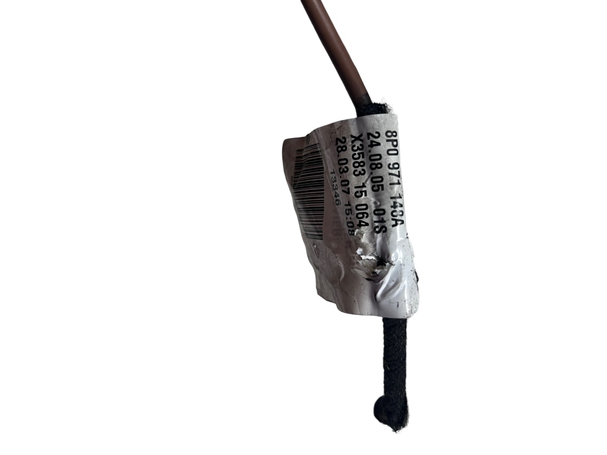 Instalatie electrica incalzire haion  AUDI A3 II 8P1 2003 - 2013 8P0971148A – foto 2