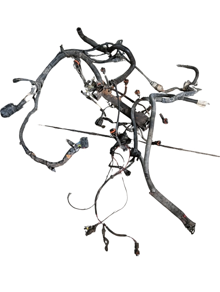 Instalatie electrica motor  FIAT DUCATO Box 250, 290 2006 - > 2.3 120 Multijet 2,3 D F1AE0481D, FPT – foto 2