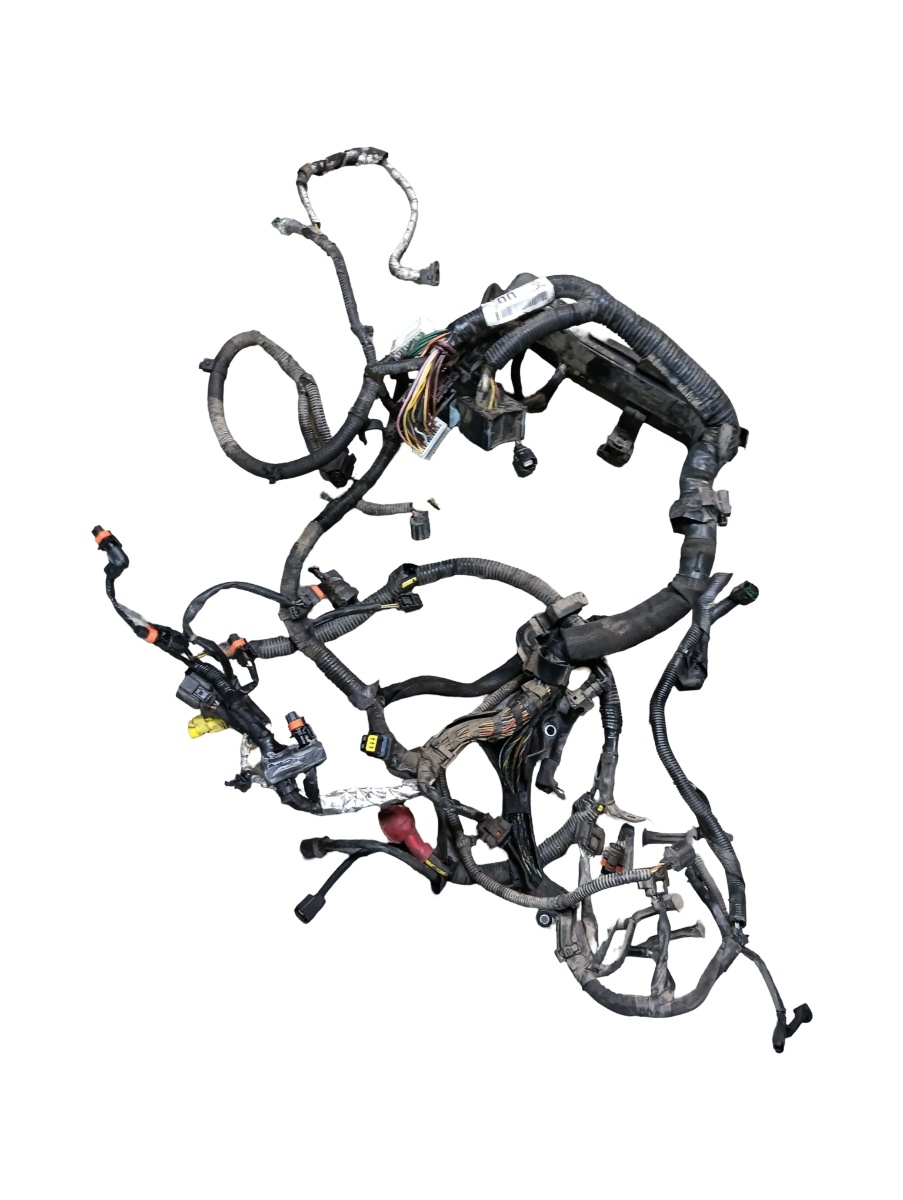 Instalatie electrica motor  NISSAN QASHQAI / QASHQAI +2 I J10, JJ10 2006 - 2014 24011bb01c – foto 2
