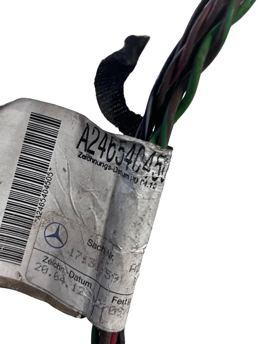 Instalatie electrica portiera dreapta fata MERCEDES-BENZ B-CLASS II W246, W242 2011 -> A2465404505 – foto 2