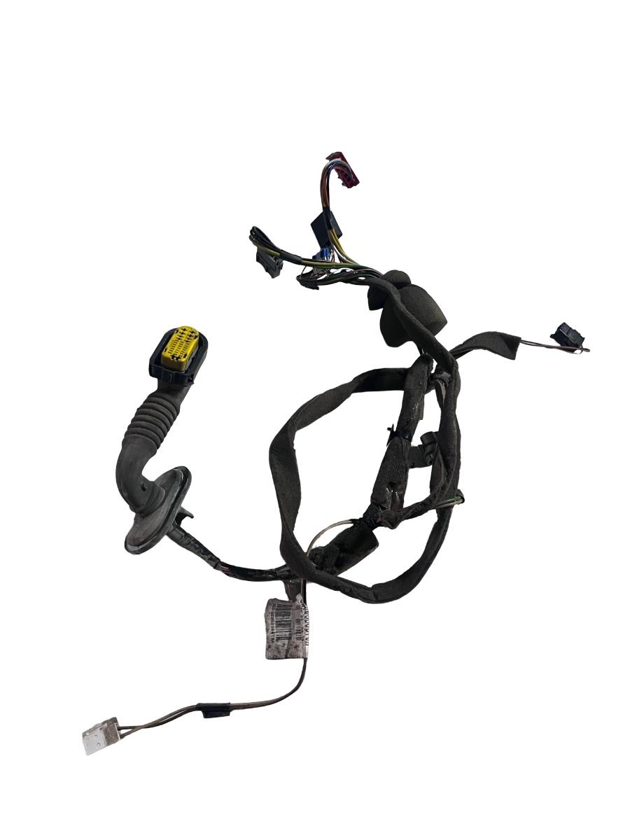 Instalatie electrica portiera stanga fata RENAULT Symbol II [ 2008 - 2013 ] 8200538879A