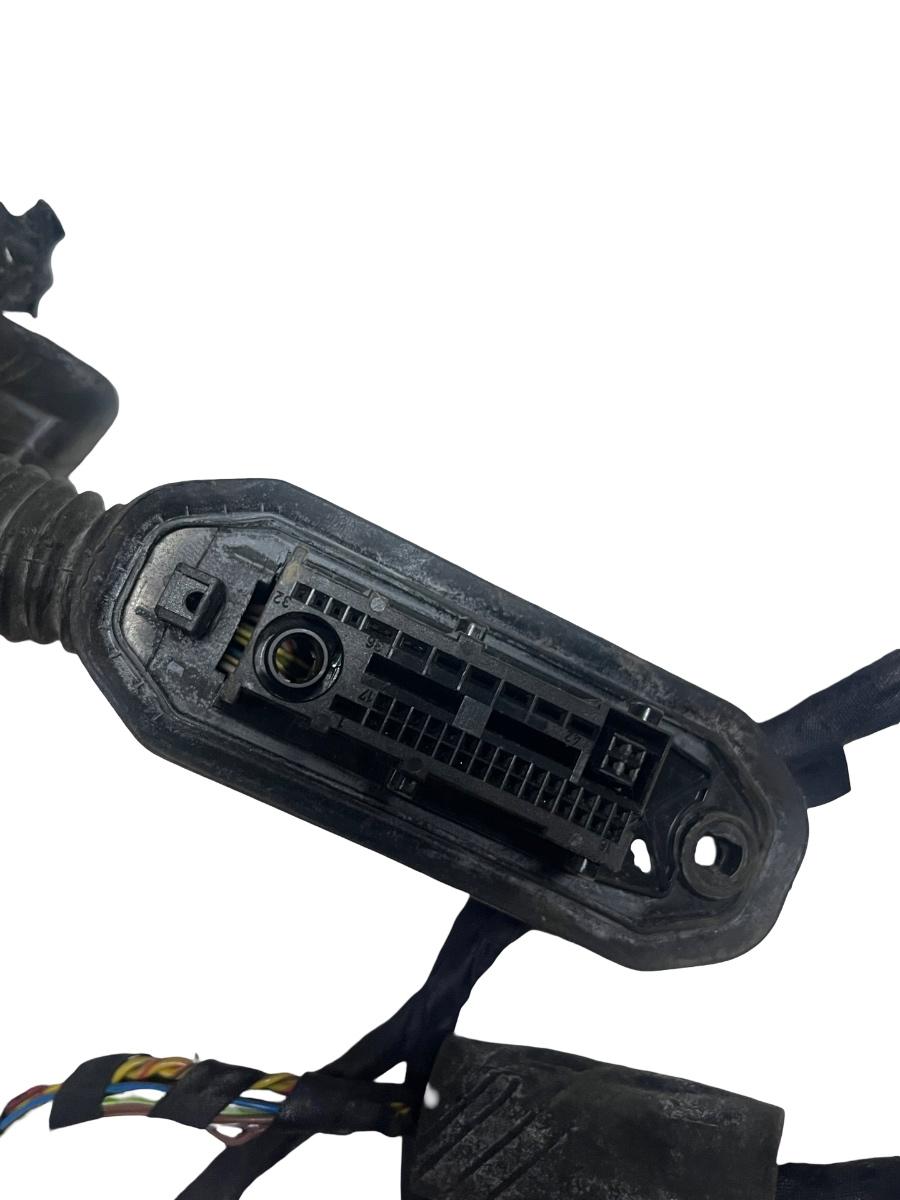 Instalatie electrica portiera stanga spate BMW 7 V F01, F02, F03, F04 2008 - 2015 9212190 – foto 4
