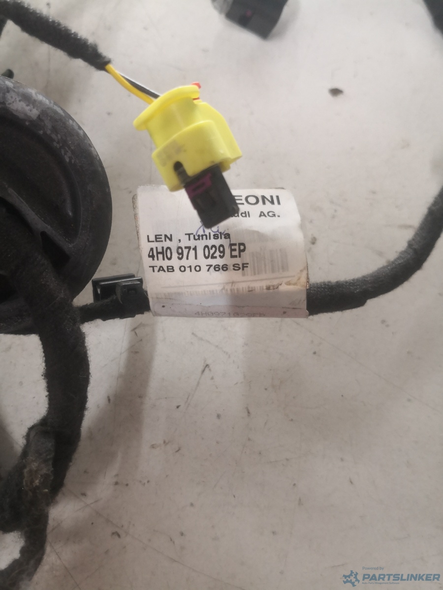 Instalatie electrica usa dreapta fata AUDI A8 III (4H2, 4H8, 4HC, 4HL) [ 2009 - 2018 ] OEM 4h0971029ep – foto 3