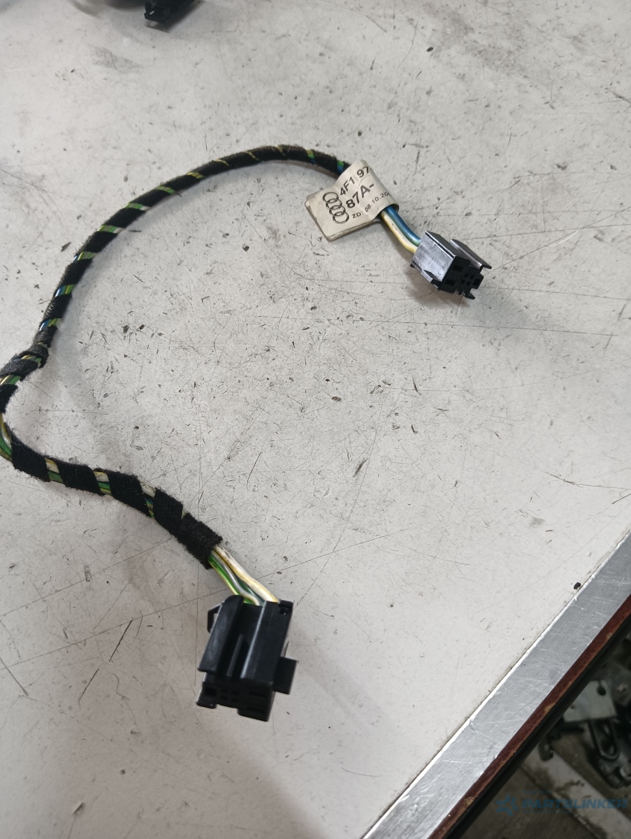Instalatie electrica usa dreapta spate VOLKSWAGEN GOLF V 1K1 2003 - 2009 – foto 2