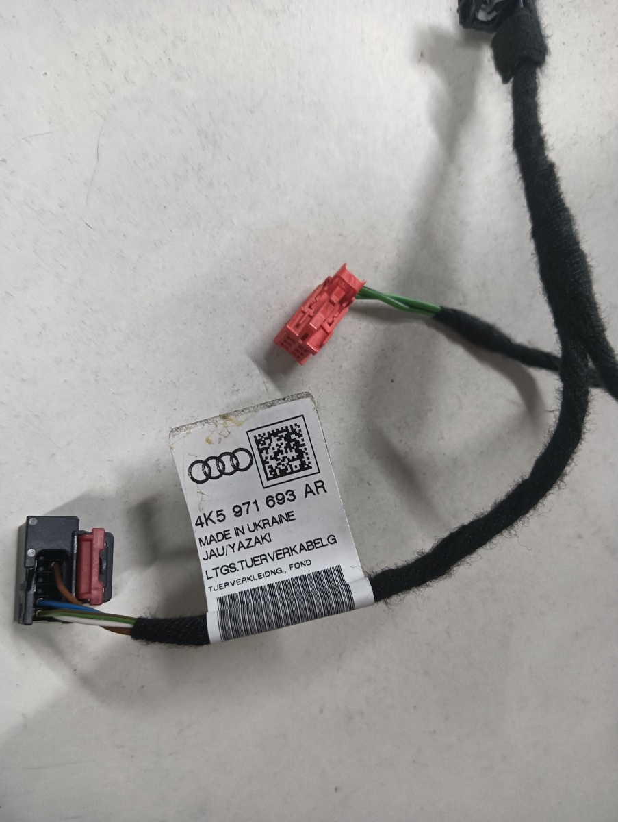 Instalatie electrica usa  stanga fata AUDI A6 C8, 4A2 2018 - > 2.0 40 TDI Mild Hybrid DFBA 4k5971693ar – foto 2