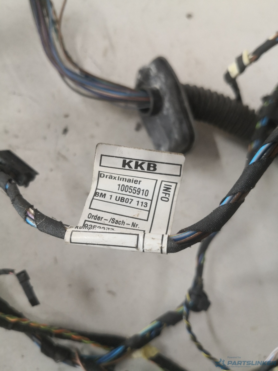 Instalatie electrica usa stanga fata BMW X3 (E83N) [ 2003 - 2011 ] xDrive 20 d (N47 D20 C) 120KW|163HP OEM 10055910 – foto 2