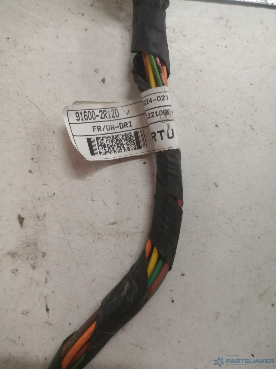 Instalatie electrica usa stanga fata HYUNDAI i30 (FD) [ 2007 - 2012 ] OEM 916002r120 – foto 2