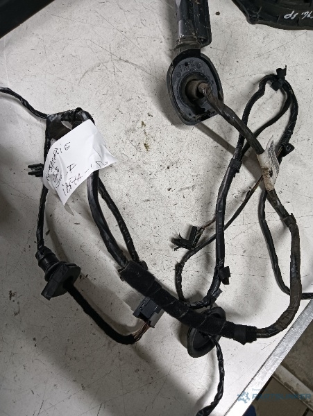 Instalatie electrica usa stanga fata SEAT IBIZA V (6J5, 6P1) [ 2008 - > ] 1.2 (BZG, CGPA, CJLB) 51KW|70HP OEM 6j4971120r – foto 2