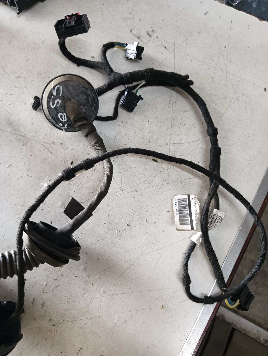 Instalatie electrica usa  stanga spate AUDI Q7 (4LB) [ 2006 - 2016 ] – foto 2