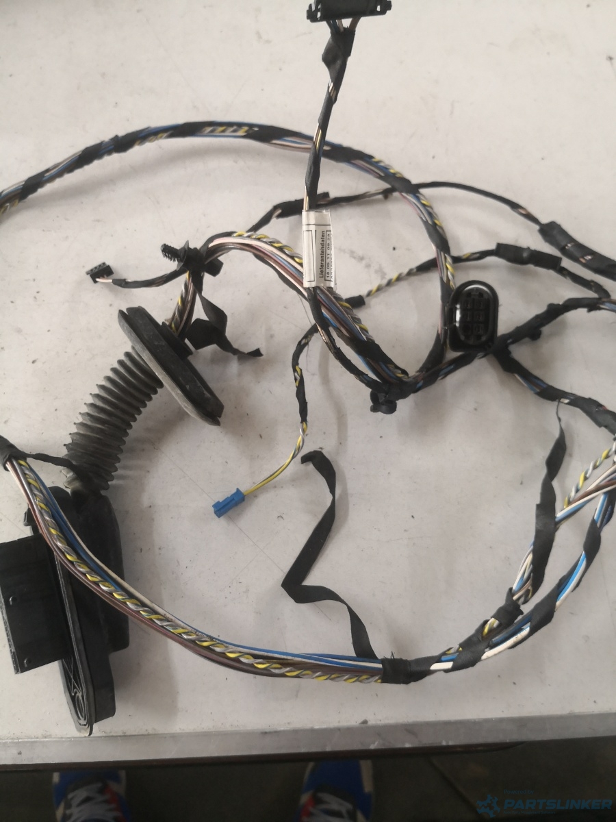 Instalatie electrica usa stanga spate BMW X3 II (F25) [ 2010 - 2017 ] OEM 10055910 – foto 2