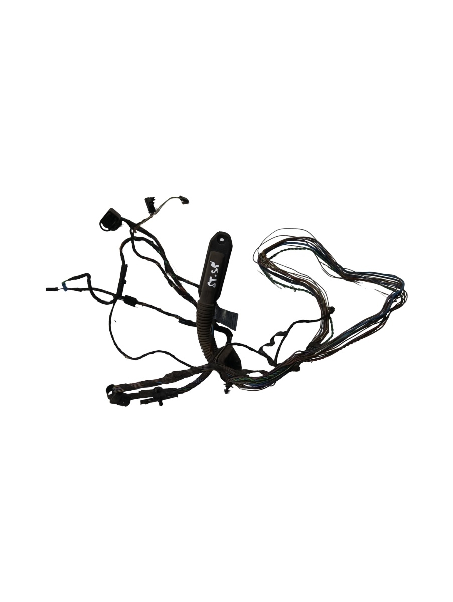 Instalatie electrica usa  stanga spate BMW X5 II E70 2006 - 2013 – foto 2