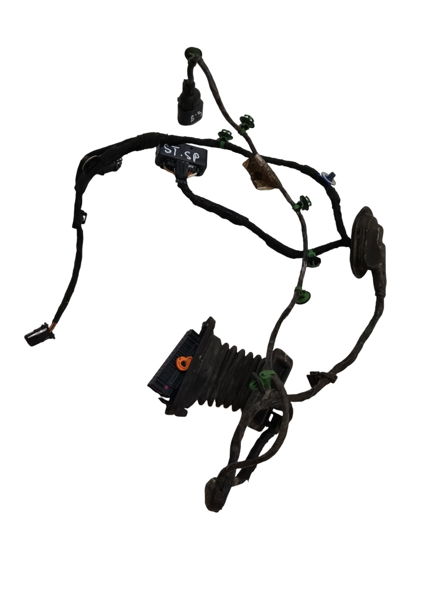 Instalatie electrica usa  stanga spate VOLKSWAGEN GOLF V 1K1 2003 - 2009