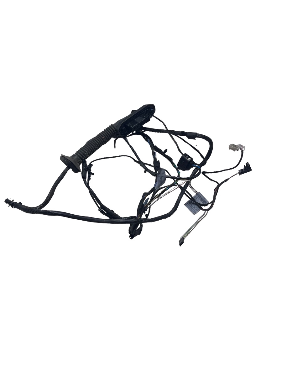 Instalatie portiera dreapta spate BMW X6 E71, E72 2007 - 2014 14972610 – foto 3