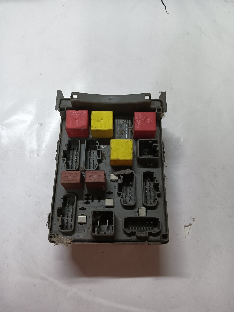 Panou sigurante RENAULT LAGUNA II BG0/1_ 2001 - 2007 8200004201