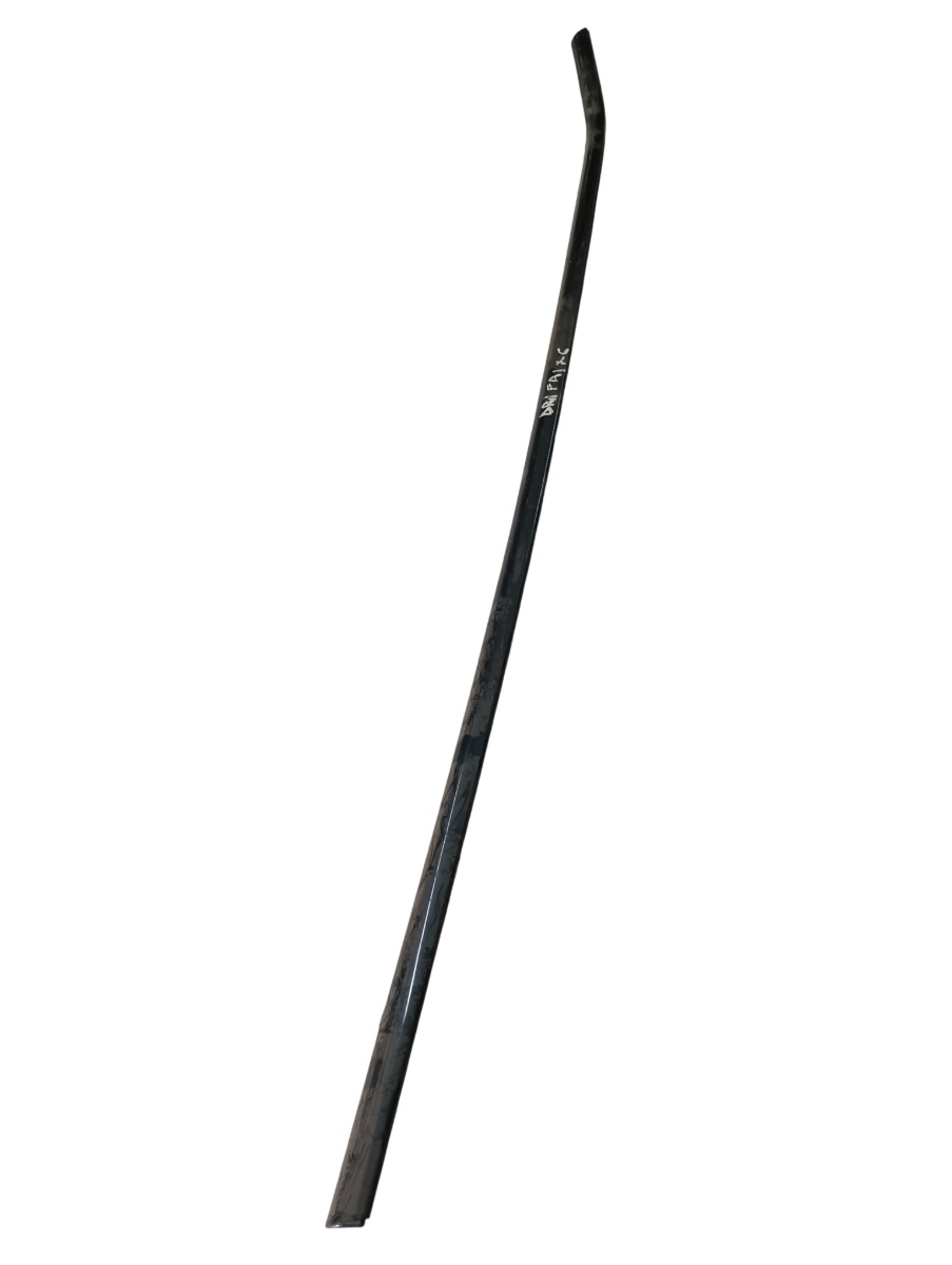 Perie geam  dreapta fata BMW X6 E71, E72 2007 - 2014
