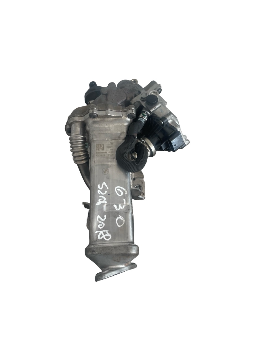 Racitor gaze + EGR BMW 5 G30, F90 2016 - > 2.0 B47 D20 B 8513132 7822347