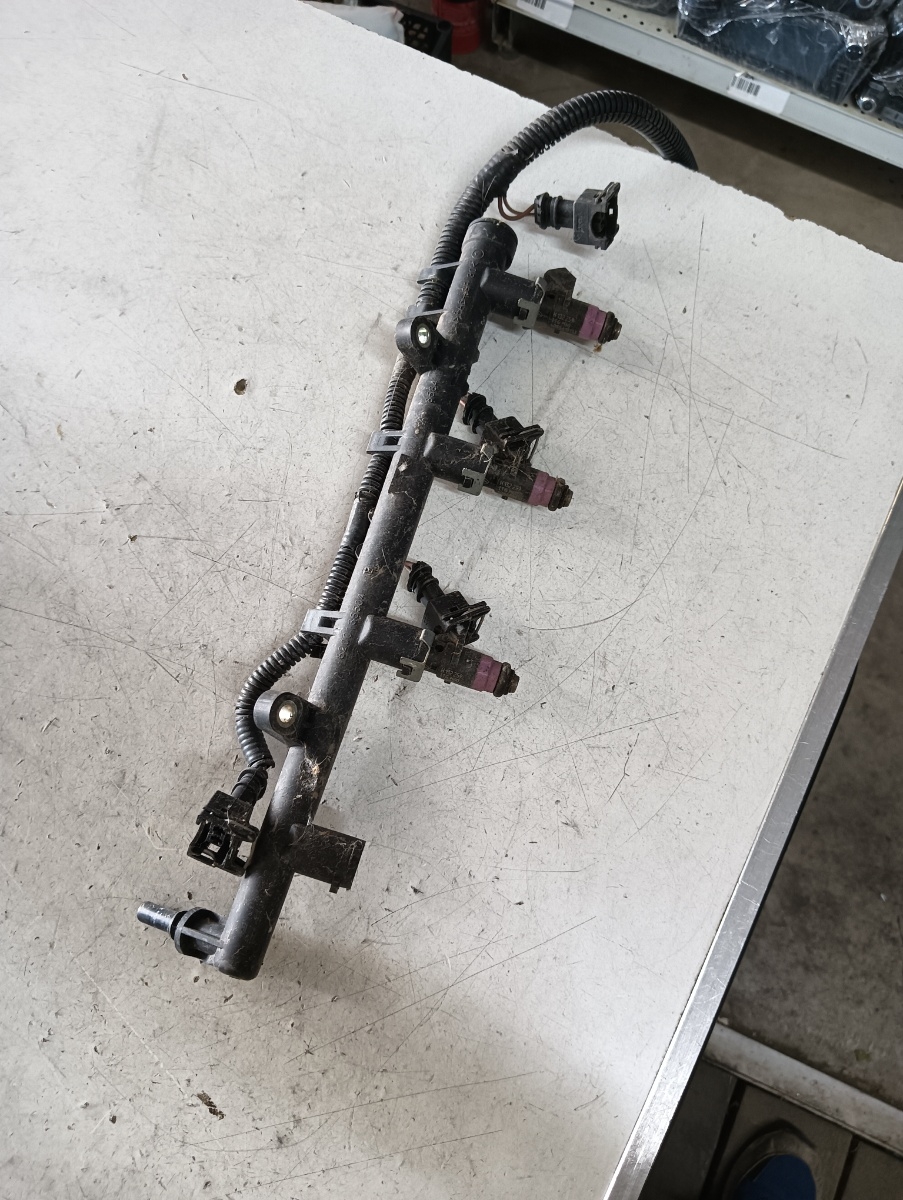 Rampa injectoare RENAULT MEGANE II (BM0/1_, CM0/1_) [ 2001 - 2012 ] 16V (K4M 760, K4M 812, K4M 813) 82KW|112HP OEM 8200135504