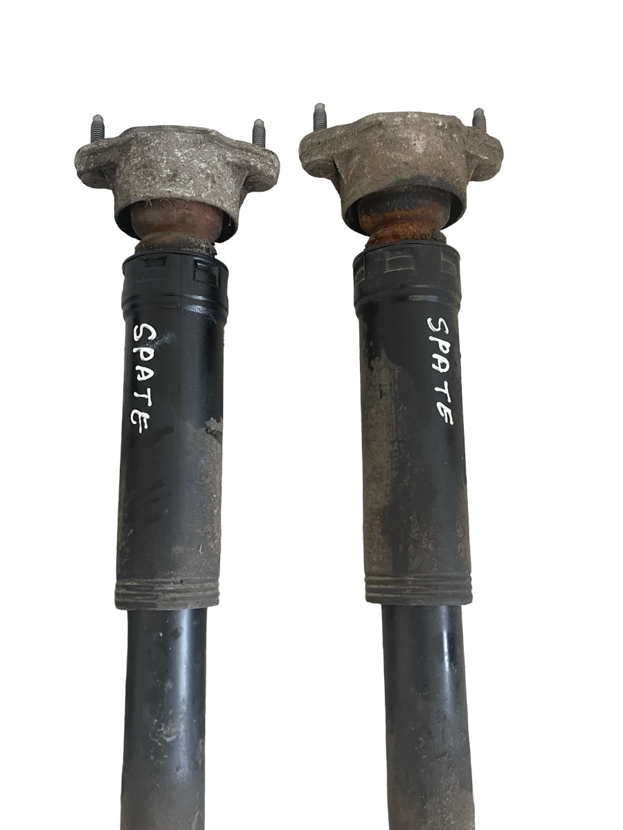 Set amortizoare spate MERCEDES-BENZ C-CLASS W204 2007 - 2014 2.2 C 200 CDI OM 651.913 – foto 2