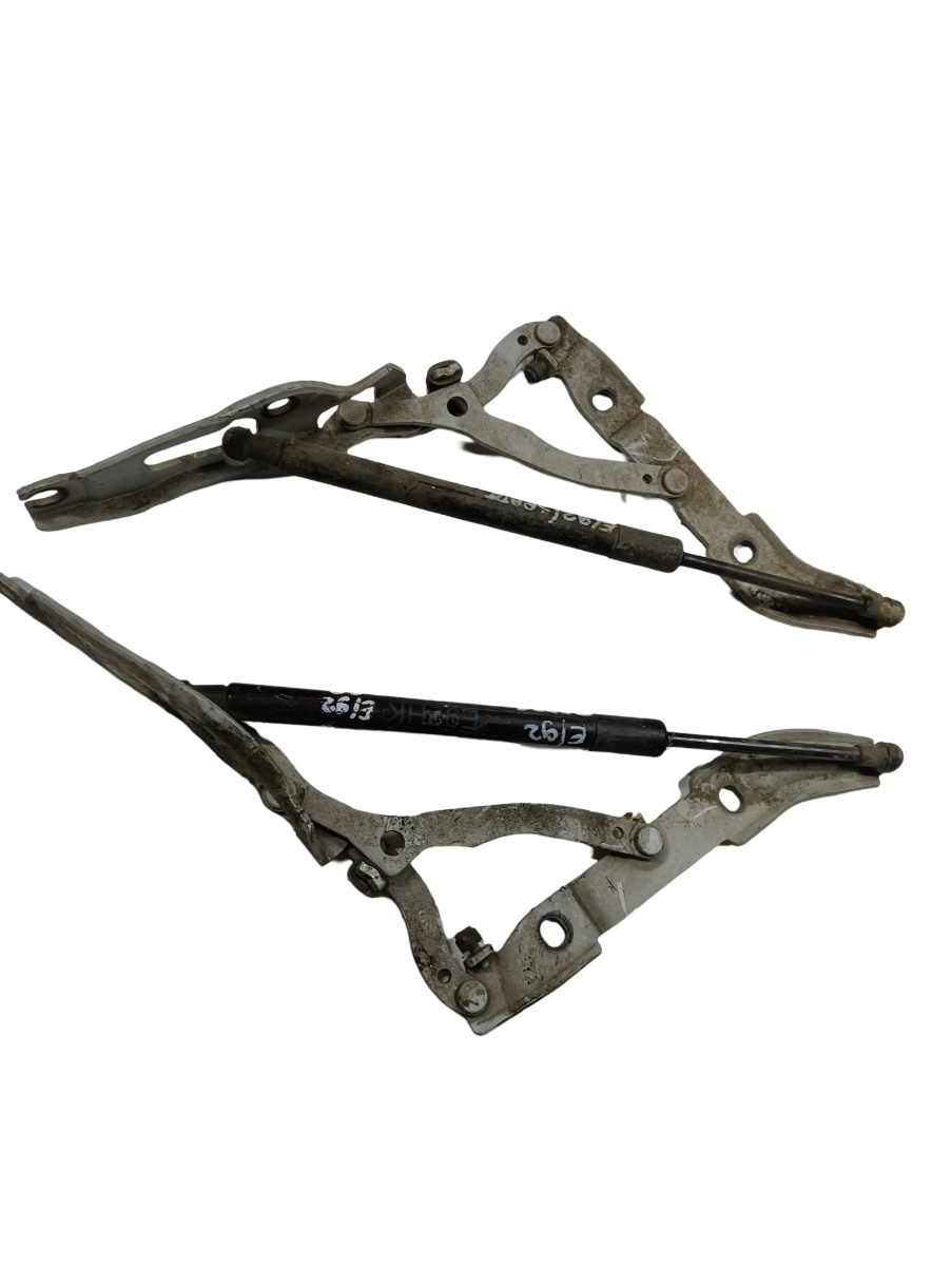 Telescop/balama portbagaj  BMW 3 V Coupe E92 2005 - 2013 – foto 2