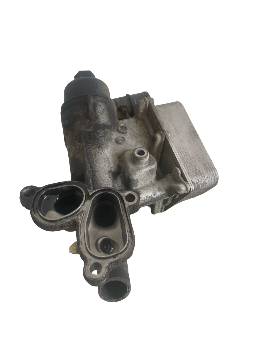 Termoflot NISSAN QASHQAI / QASHQAI +2 I J10, JJ10 2006 - 2014 2.0 dCi 4x4 M1D, M9R